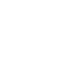 Team XSpark / Revenant Logo