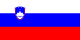 Slovenia Flag