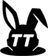 TT Project Logo