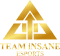 Team iNSANE